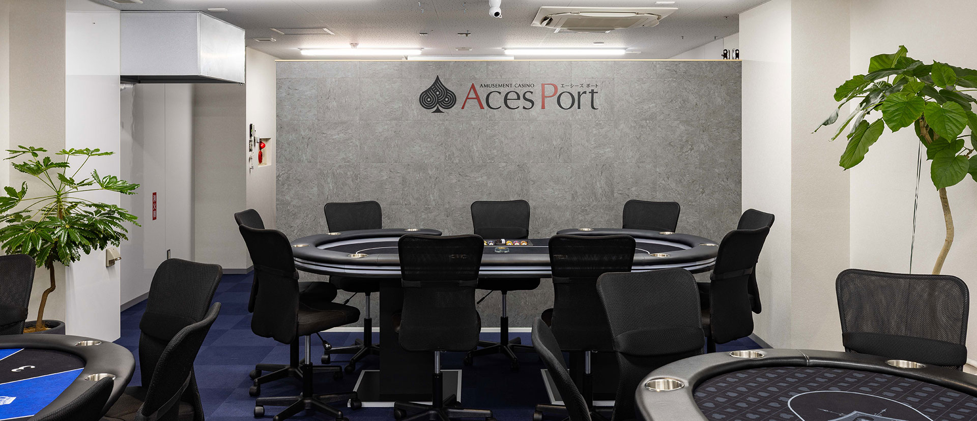 愛媛県 今治市 カジノバー AcesPort